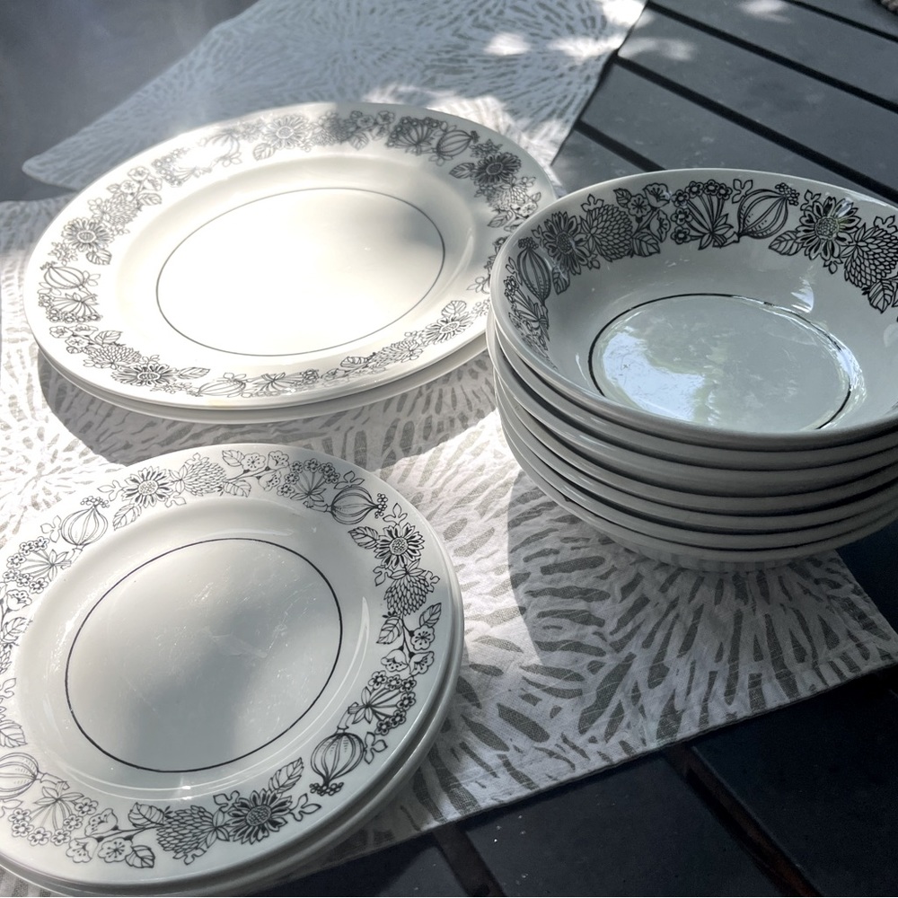 Ironstone dinnerware “Manitou”  made in England black and white